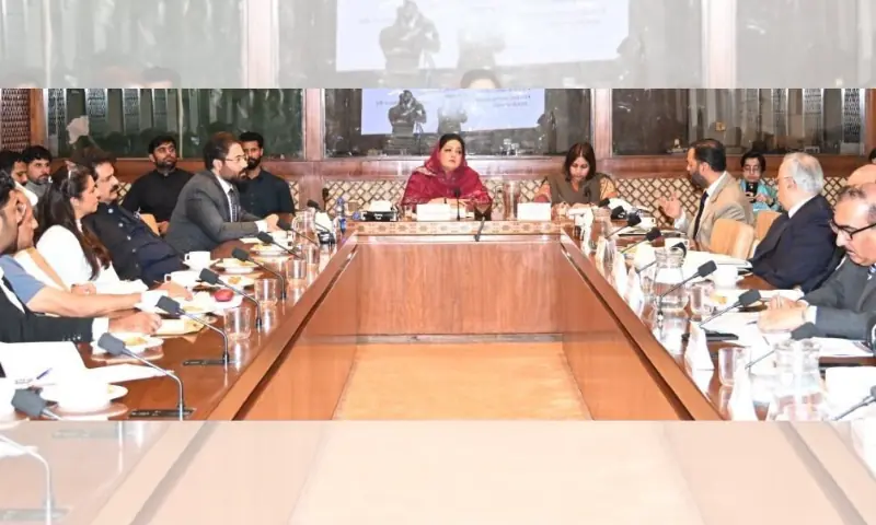 Senate body expresses concerns over complaints of MDCAT's conduct, date