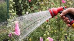 Hosepipe ban in force for millions of households - is your area affected?