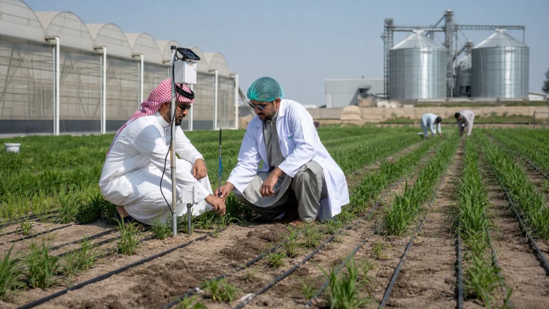 AI editorial image of Saudi and Pakistani specialists inspecting irrigation technology on a modern farm