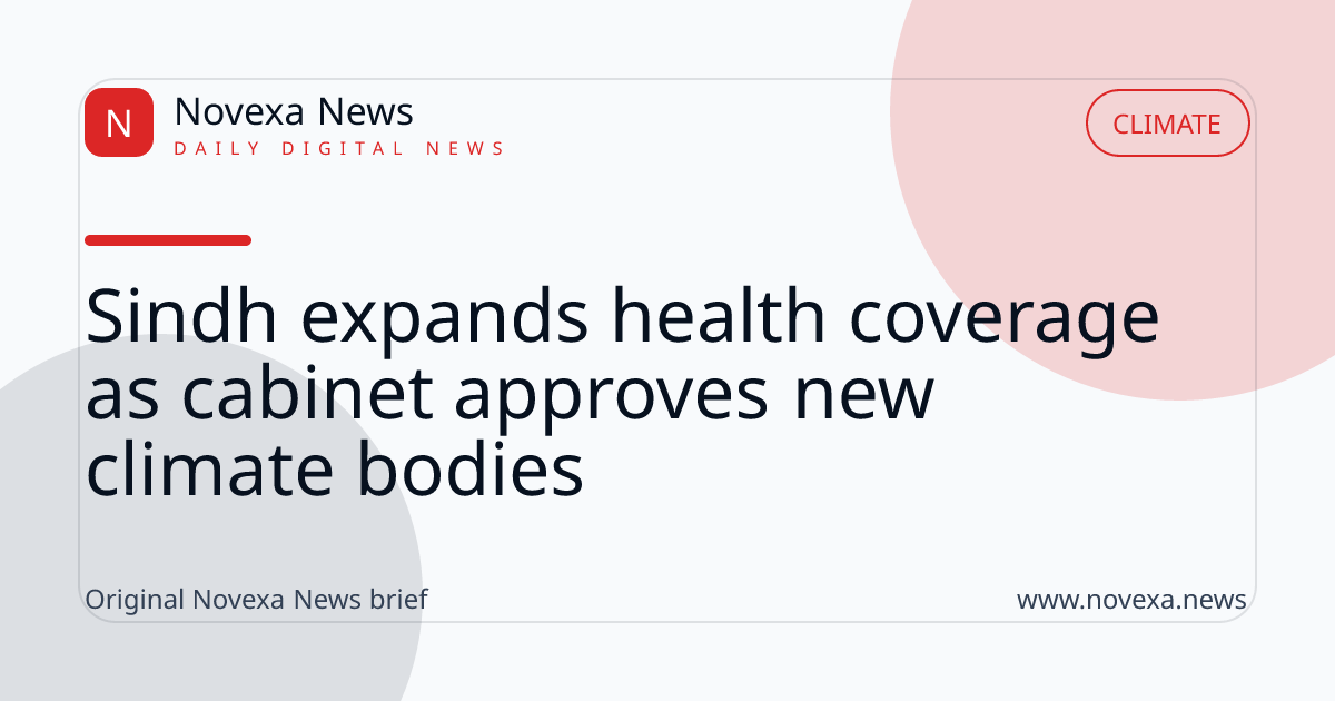 Sindh expands health coverage as cabinet approves new climate bodies