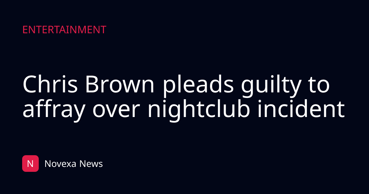 Chris Brown pleads guilty to affray over nightclub incident