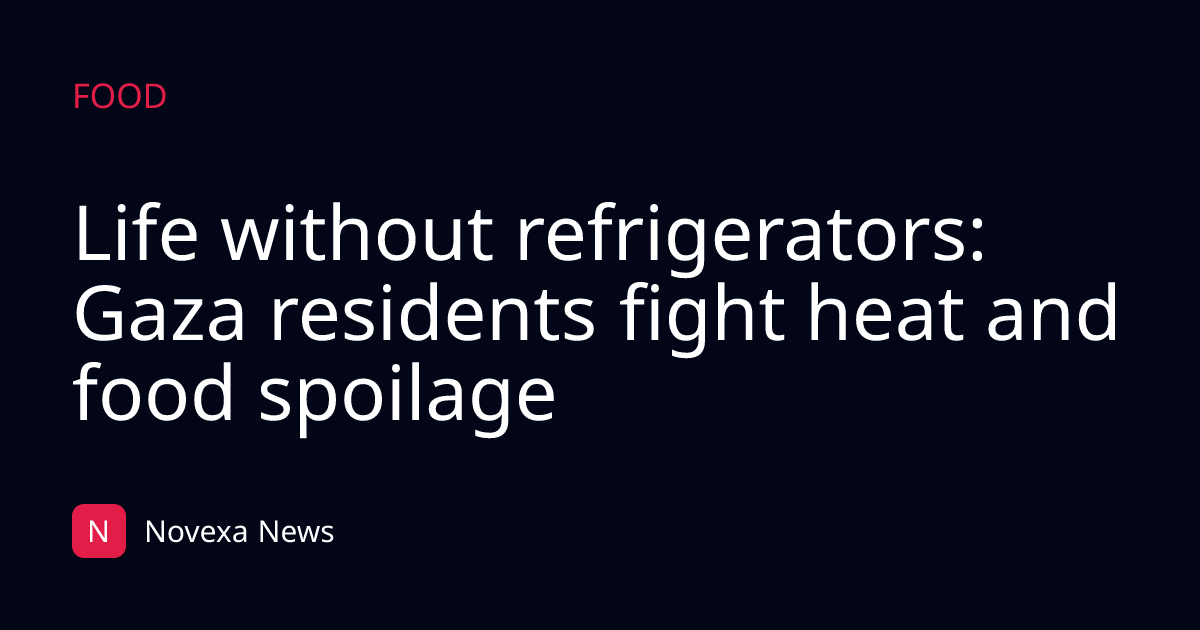 Life without refrigerators: Gaza residents fight heat and food spoilage