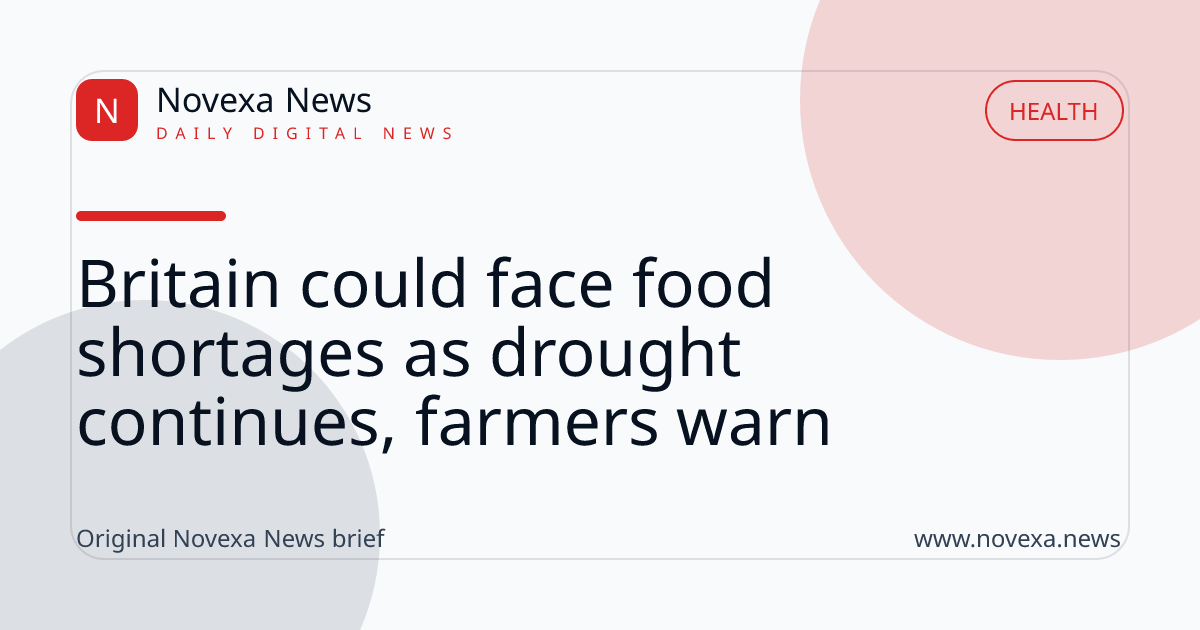 Britain could face food shortages as drought continues, farmers warn
