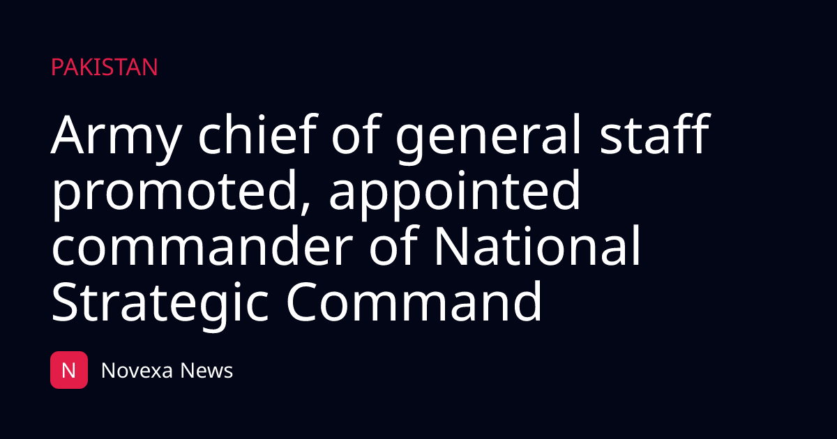 Army chief of general staff promoted, appointed commander of National Strategic Command