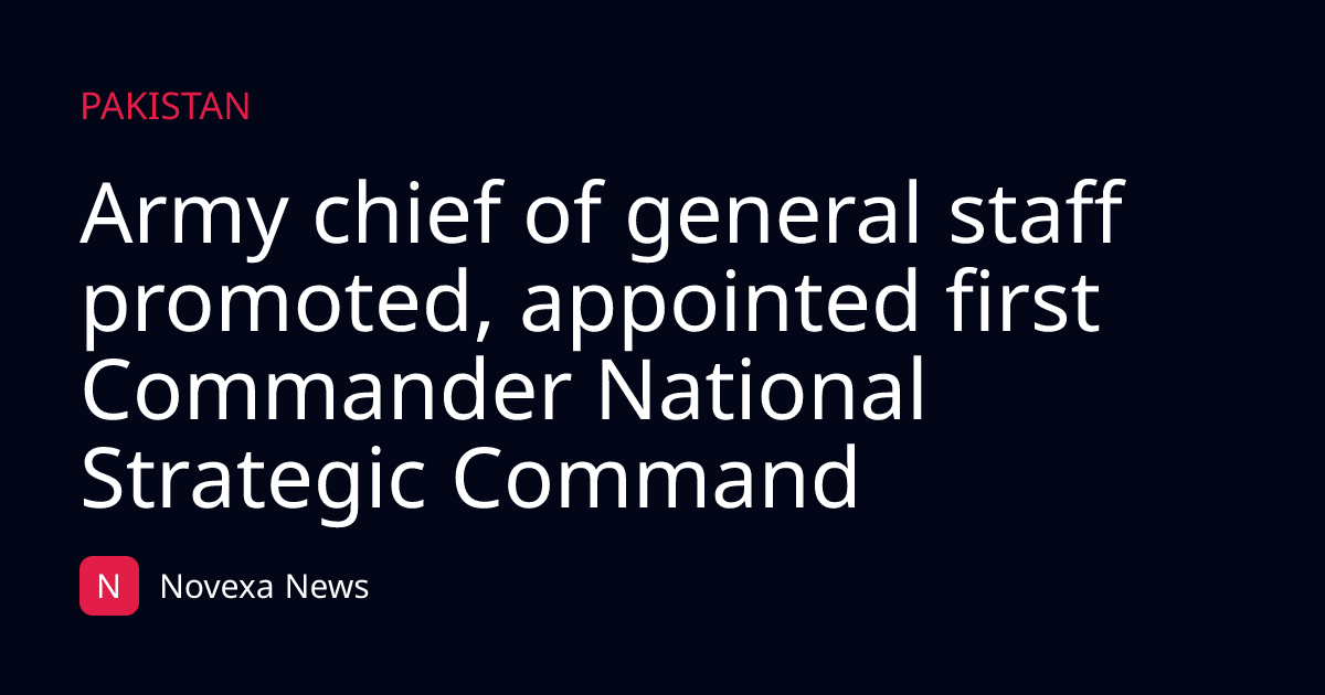 Army chief of general staff promoted, appointed first Commander National Strategic Command
