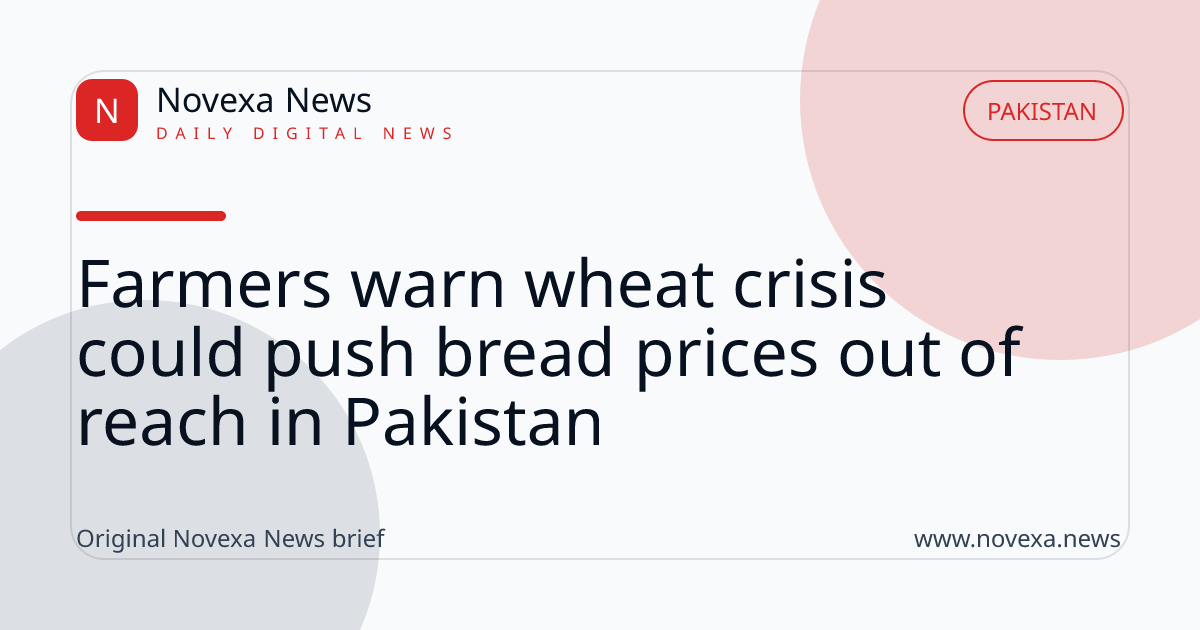 Farmers warn wheat crisis could push bread prices out of reach in Pakistan