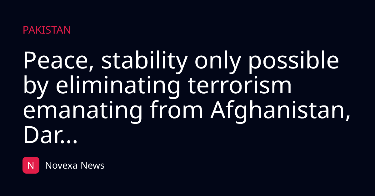 Peace, stability only possible by eliminating terrorism emanating from Afghanistan, Dar...