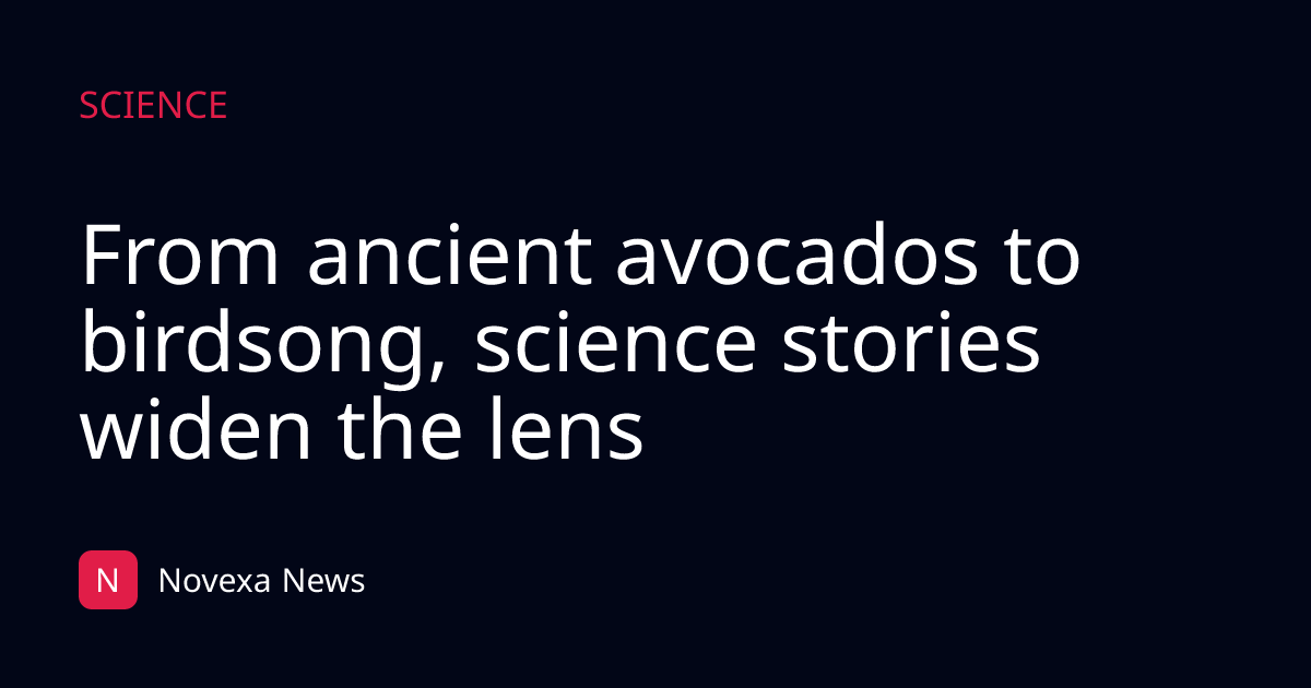 From ancient avocados to birdsong, science stories widen the lens