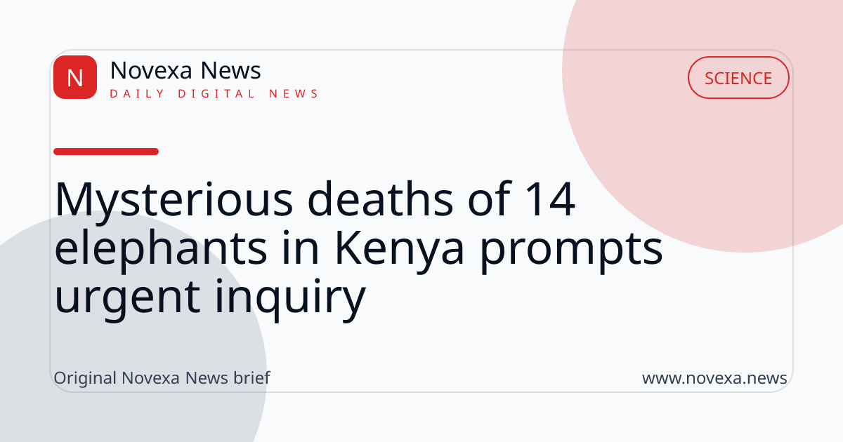 Mysterious deaths of 14 elephants in Kenya prompts urgent inquiry