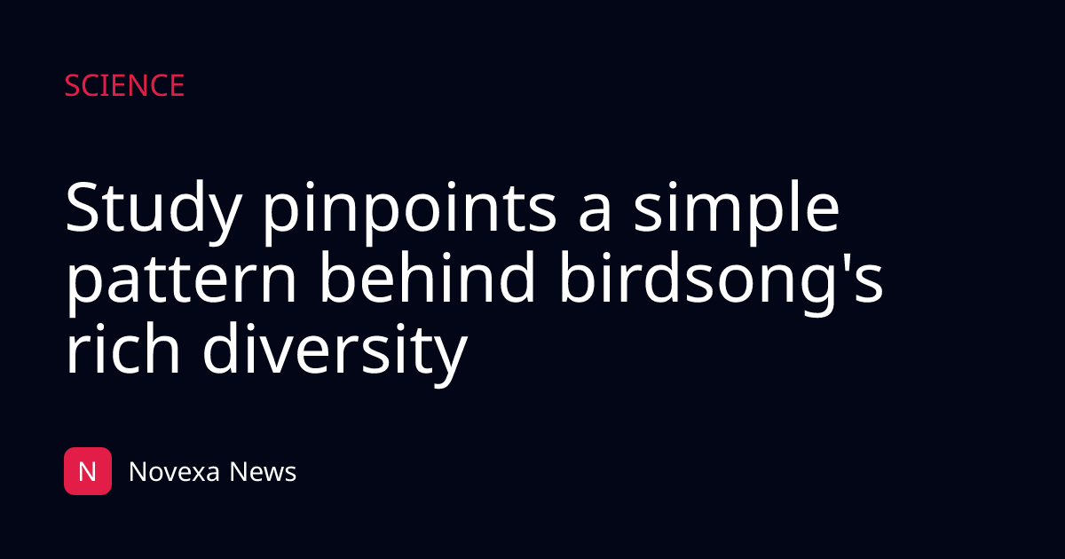 Study pinpoints a simple pattern behind birdsong's rich diversity