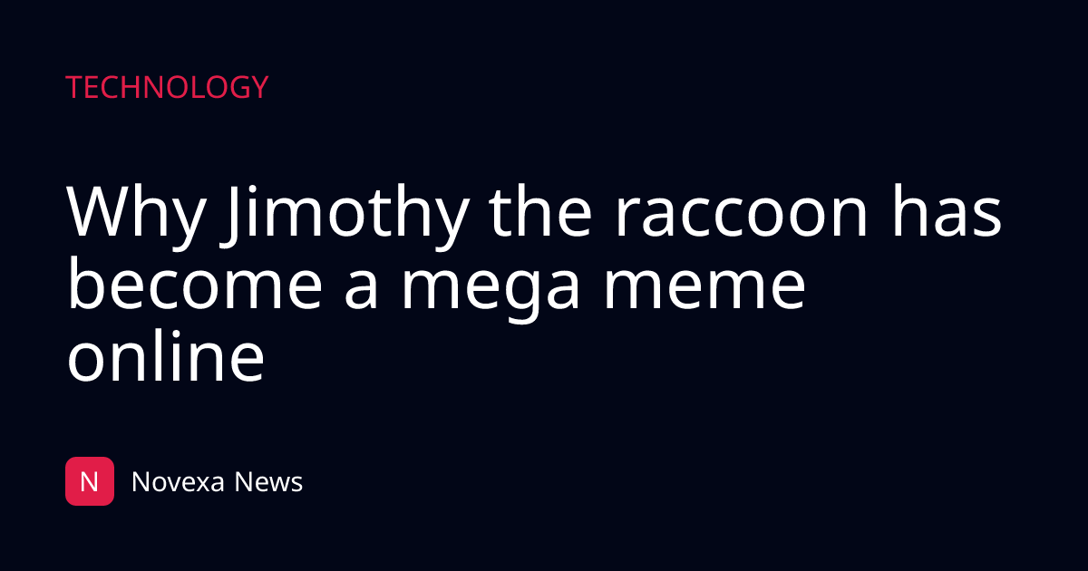Why Jimothy the raccoon has become a mega meme online