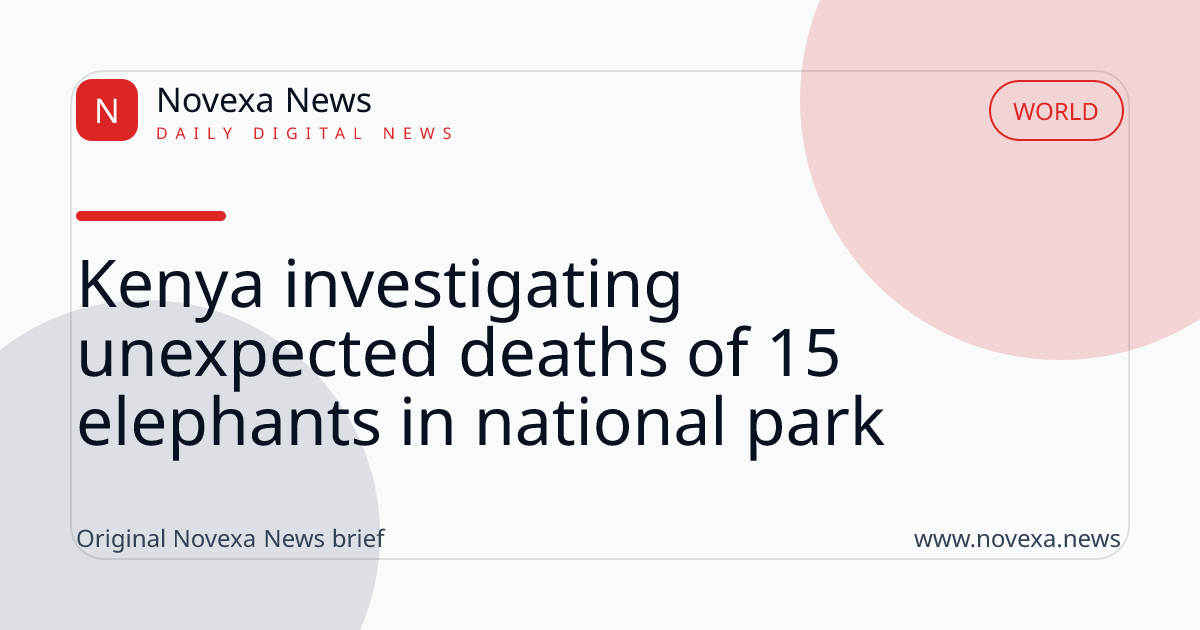 Kenya investigating unexpected deaths of 15 elephants in national park