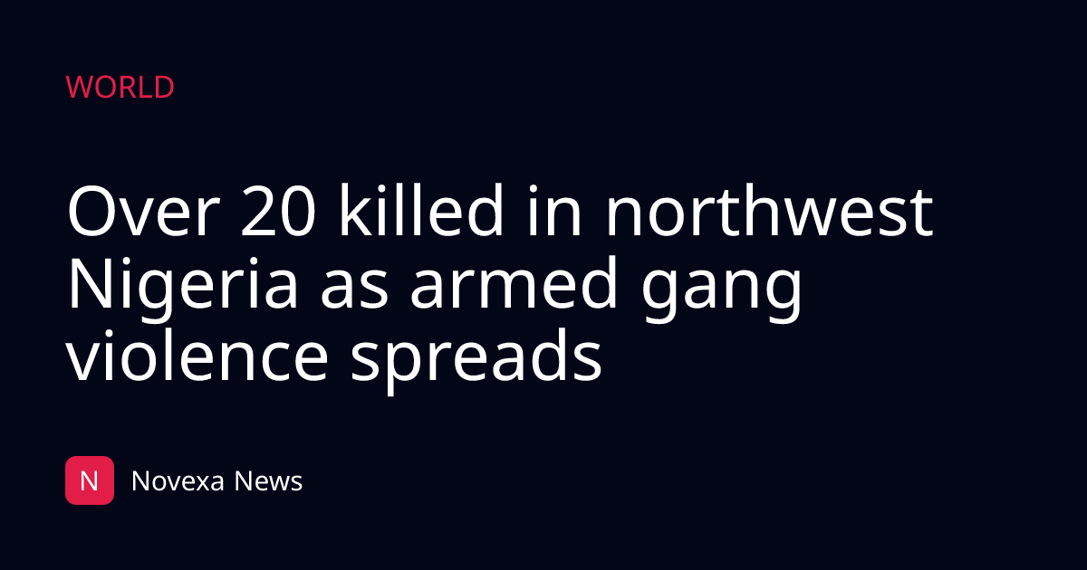 Over 20 killed in northwest Nigeria as armed gang violence spreads